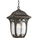 Enchant 1 Light Outdoor Hanging Lantern