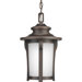 Pedigree 1 Light Outdoor Hanging Lantern