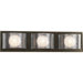 3 Light Bath Vanity Light