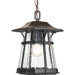 1 Light Outdoor Hanging Lantern