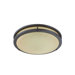 Flush Mount
