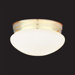 2 Light Glass Flush Mount