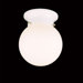 White Globe Flush Mount