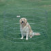 Pro-Handler Exercise Pen in Silver
