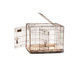 Great Crate Two-Door Dog Crate with Divider Panel in Chrome