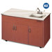 Silver Advantage Deep Basin Single Bowl Portable Sink