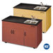 Advantage 2 Portable Hand Washing Station NSF Certified with Storage Cabinet