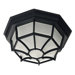 5" x 11"  Flush Mount in Black