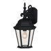 18" x 9"  Outdoor Wall Lantern in Black