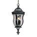 Monticella 24" x 10.13"  Outdoor Hanging Lantern in Black
