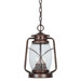 Smith Mountain  Outdoor Hanging Lantern in New Tortoise Shell