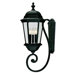 Wakefield  Outdoor Wall Lantern in Textured Black