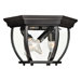  Flush Mount in Flat Black