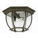 Three Light Outdoor Flush Mount