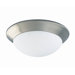 5" Two Light Outdoor Flush Mount