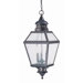 Chimnea Outdoor Hanging Lantern in English Bronze