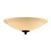 Salon Two Light Ceiling Fan Light Kit