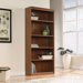Camber Hill Library Bookcase
