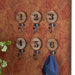 Maesa Decorative 6 Piece Numbered Hook Set