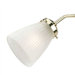 Ceiling Fan Glass Shade in Satin White