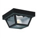Outdoor  Black Flush Mount