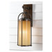 Dakota  Outdoor Wall Lantern in Heritage Bronze