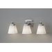 Delaney Three Light Bath Vanity in Brushed Steel