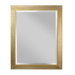 Darwin Mirror
