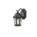 Martinsville One Light Outdoor Lantern in Black