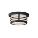 Carbondale 2 Light Outdoor Flush Mount