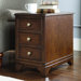 Cherry Grove New Generation Chairside Table