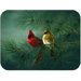 Tuftop Cardinals and White Pine Cutting Board