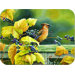 Tuftop Cedar Waxwing Cutting Board
