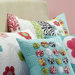 Abby / Jane Zebra Euro Sham