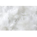 Maltino White Rug