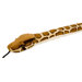 Snake Burmese Python