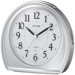 Nightbright A17 Alarm Clock