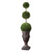 Preserved Boxwood Triple Topiary Planter