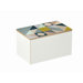 Plint Box