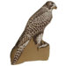 Falcon Large Cushion