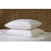 Memory Loft Curve 2 Pack Pillows