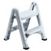 Folding 2-Step Step Stool