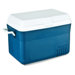 Victory Family Cooler