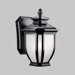 Salisbury  Outdoor Wall Lantern in Black