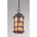 Aspen  Hanging Lantern in Natural Bronze