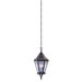 Morgan Hill Hanging Lantern in Natural Rust