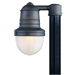 Beaumont One Light Outdoor Medium Lamp Post with Clear Glass in Industrial Bronze
