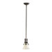 Aspen 1 Light Pendant
