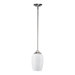 1 Light Pendant