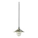 1 Light Caged Mini Pendant
